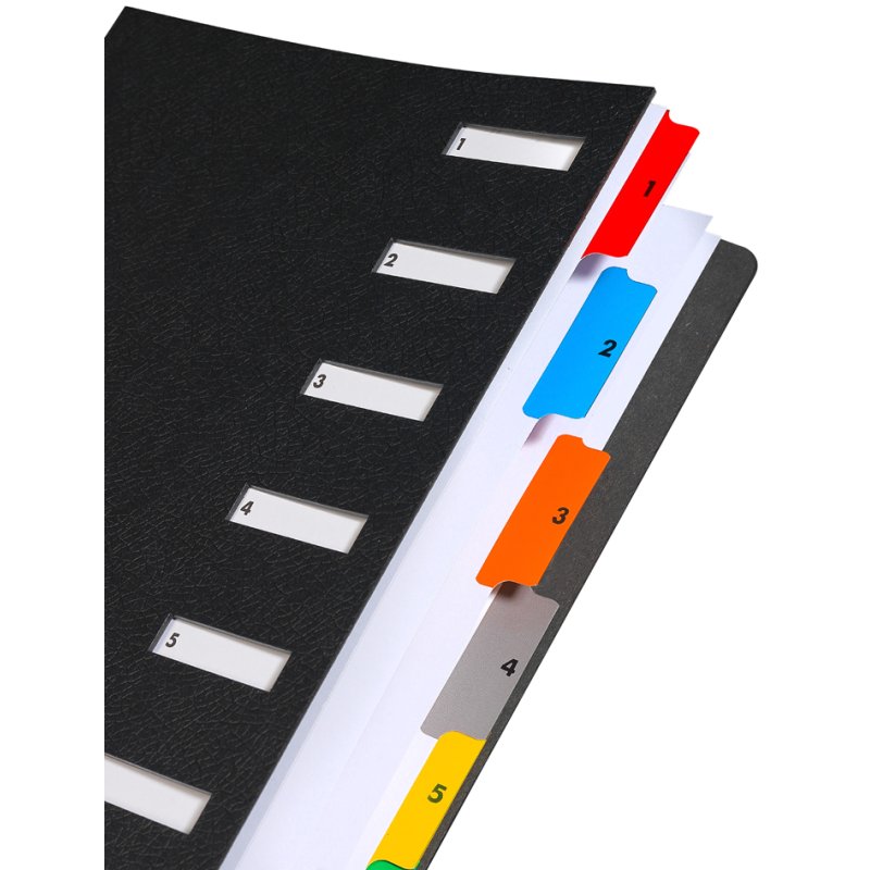 Extendos Classeur de Bureau A4, 12 compartiments, noir
